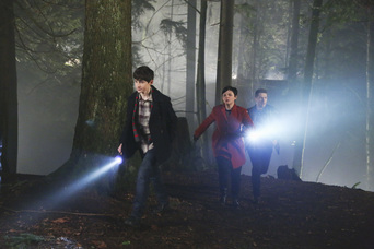 http://images6.fanpop.com/image/photos/38300000/Once-Upon-a-Time-Episode-4-17-Heart-of-Gold-once-upon-a-time-38339887-3000-2000.jpg